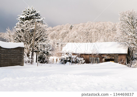 雪後的鄉村，清晨寧靜祥和。一棟房子屋頂上積滿了雪。 134469837