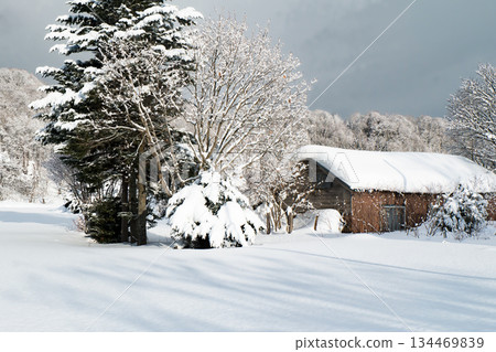 雪後的鄉村，清晨寧靜祥和。一棟房子屋頂上積滿了雪。 134469839