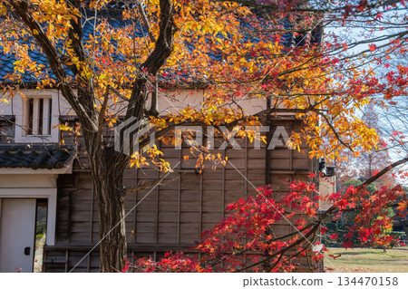 Wooden wall and autumn leaves 134470158
