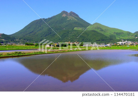 初夏的由布山（布市由布院町豐後富士） 134470181
