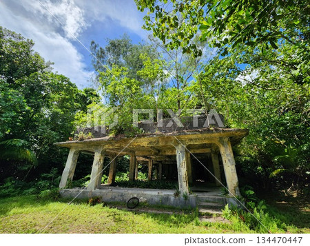 帛琉，密克羅尼西亞，南大洋 134470447