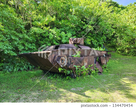 Palau Micronesia Southern Ocean 134470454