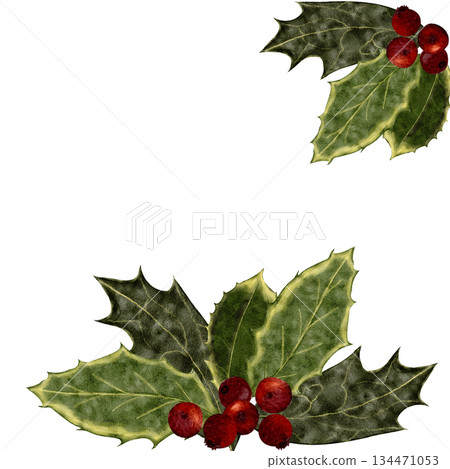 Holly branch with green leaves, red berries, watercolor frame isolated on white background. Christmas botanical element for winter decorations, holiday cards, packaging, invitations, seasonal design Holly branch with green leaves, red berries, watercolor frame isolated on white background. Christmas botanical element for winter decorations, holiday cards, packaging, invitations, seasonal design 134471053