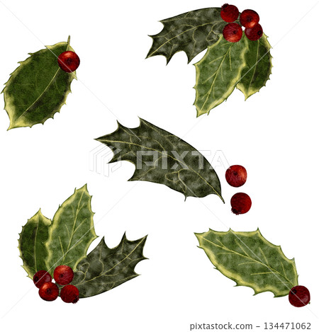 Holly leaves and red berries watercolor seamless pattern. Elegant winter botanicals in traditional Christmas colors, perfect for wrapping paper, textiles, stationery, packaging, and festive seasonal 134471062