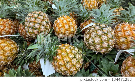 沖繩：鳳梨整齊排列展示 134471293