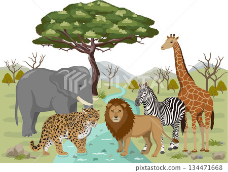 Acacia trees and savanna animals Acacia trees and savanna animals 134471668
