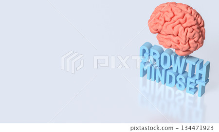 Creative Brain and Growth Mindset Concept 3d render. 134471923