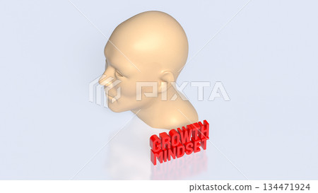 Human Mind Growth Mindset Concept 3d render. 134471924