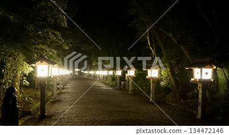 宮崎神社表參道的夜晚 宮崎神社表參道的夜晚 134472146