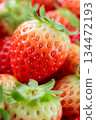 Heap Of Fresh Korean Strawberries Fruit. Close up 134472193