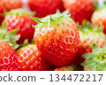 Heap Of Fresh Korean Strawberries Fruit. Close up 134472217