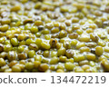 Boiled mung bean in the water. Close-up 134472219