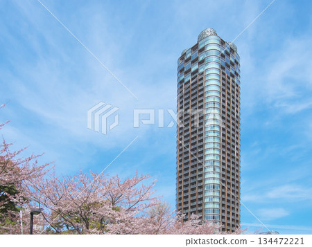Spring cityscape of Tokyo Midtown Roppongi with cherry blossoms in bloom (April 2022) 134472221