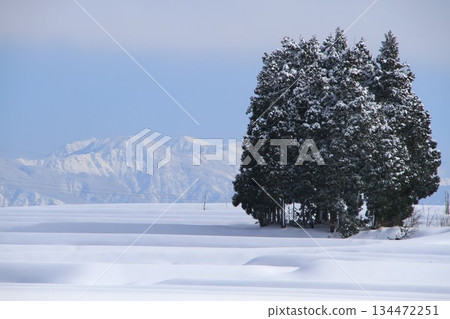 雪域 雪域 134472251