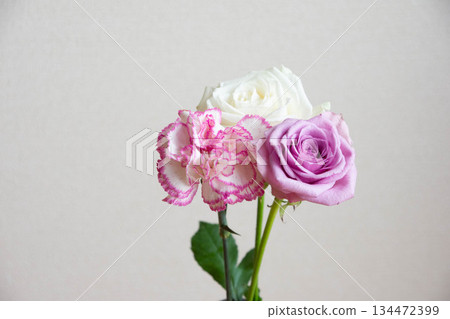 Roses and carnations Roses and carnations 134472399