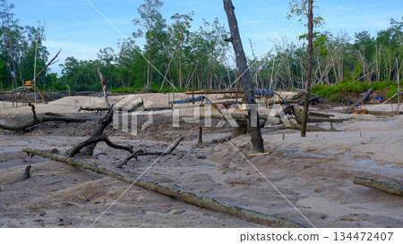 Deforestation and Environmental Damage in Coastal Mangrove Forest Area 134472407