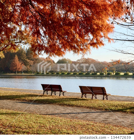 秋天水本公園 秋天水本公園 134472639