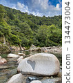 Heart-shaped rock in the mountain stream of the Iide mountain range 134473004