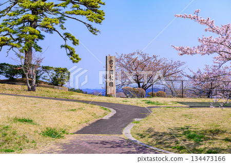 宮城縣七濱町君之丘公園的春天 134473166