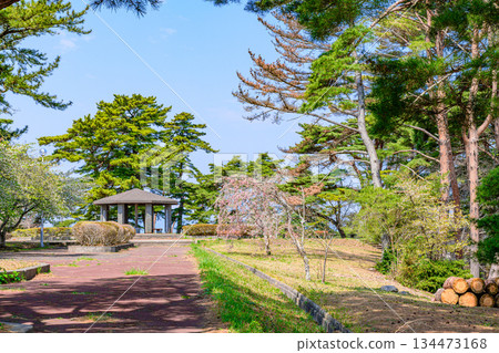 宮城縣七濱町君之丘公園的春天 134473168