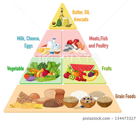 Colorful Food Pyramid Diagram with Food Groups Illustration 134473327