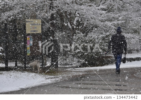 白雪皚皚的長廊 134473442