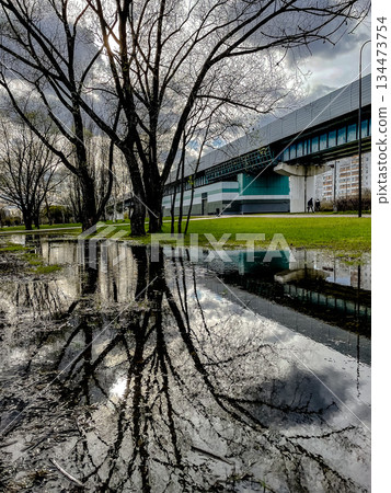 photographic portrayal of city resilience highlighting reflections of buildings and trees under cloudy skies photographic portrayal of city resilience highlighting reflections of buildings and trees under cloudy skies 134473754