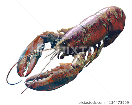 活龍蝦 134473909