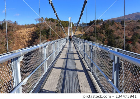 日本最高的步行橋（九重「夢」懸索橋） 134473941