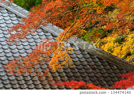 Autumn leaves at Eigenji Temple_9744 Autumn leaves at Eigenji Temple_9744 134474140