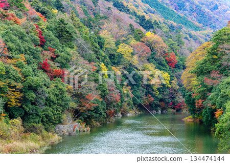 Autumn leaves along the Aichi River (Eigenji Temple)_2427 Autumn leaves along the Aichi River (Eigenji Temple)_2427 134474144