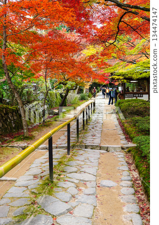 金剛林寺(江東三山)的秋葉_2721 金剛林寺(江東三山)的秋葉_2721 134474147