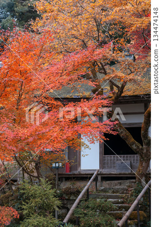 金剛林寺護馬堂(江東三山)的秋葉_2769 金剛林寺護馬堂(江東三山)的秋葉_2769 134474148