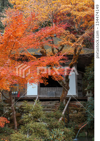 Autumn leaves at Kongorinji Temple Goma Hall (Koto Sanzan)_2786 Autumn leaves at Kongorinji Temple Goma Hall (Koto Sanzan)_2786 134474149