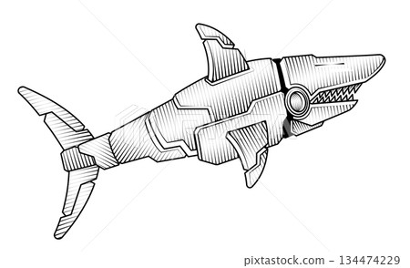 hand drawn vintage engraving style vector illustration of mechanical robotic shark fish marine underwater cybernetic animal 134474229