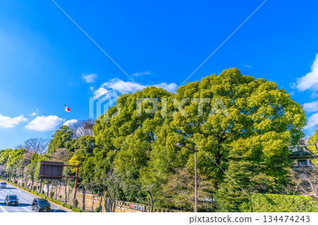 日本東京的都市景觀。年末。在那片天空之上……是那一天的悲劇……靖國神社和迎風飄揚的日本國旗。迎接新年… 日本東京的都市景觀。年末。在那片天空之上……是那一天的悲劇……靖國神社和迎風飄揚的日本國旗。迎接新年… 134474243