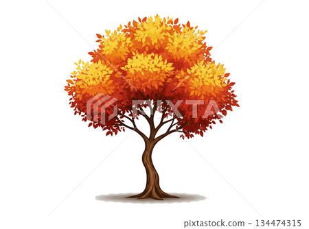 tree isolated on white background tree isolated on white background 134474315