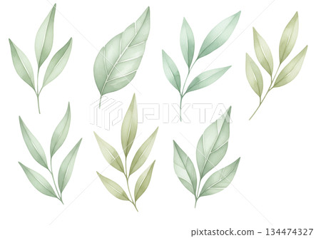 set of cannabis leaves set of cannabis leaves 134474327