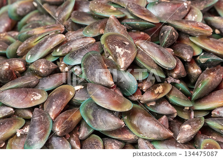 Close up background with a large lot of fresh sea shells or mussel for sale at a seafood market. 134475087