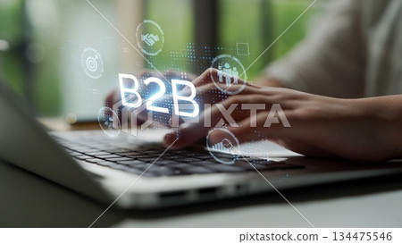 B2B Growth Strategy for Business-to-Business Market Success Muxer 134475546