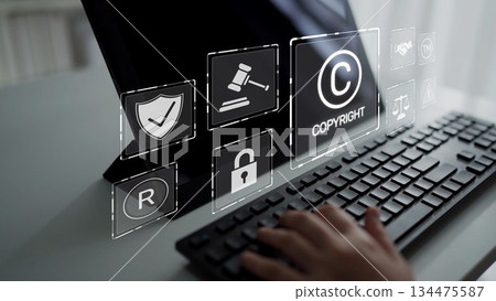 Copyright Protection and Intellectual Property Rights in Digital Media Muxer 134475587