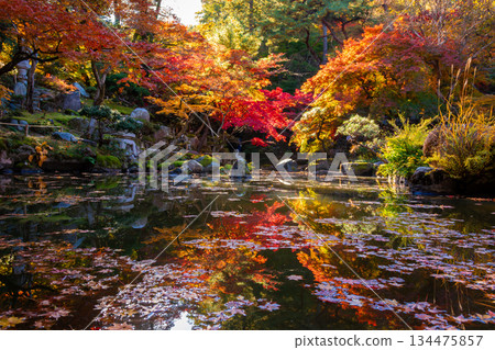 Autumn leaves reflected on the water surface at Tokumeien Garden in Takasaki City, Gunma Prefecture Autumn leaves reflected on the water surface at Tokumeien Garden in Takasaki City, Gunma Prefecture 134475857