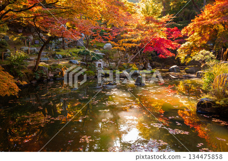 Colorful autumn leaves reflected in a pond at Tokumeien Garden in Takasaki City, Gunma Prefecture in autumn Colorful autumn leaves reflected in a pond at Tokumeien Garden in Takasaki City, Gunma Prefecture in autumn 134475858