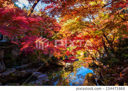 Autumn scenery with autumn leaves at Tokumeien Garden in Takasaki City, Gunma Prefecture Autumn scenery with autumn leaves at Tokumeien Garden in Takasaki City, Gunma Prefecture 134475868