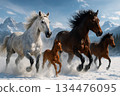 Horses running on the snowy field 134476095