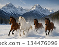 Horses running on the snowy field 134476096