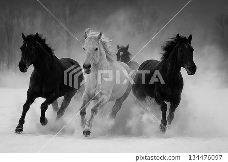 Horses running on the snowy field 134476097