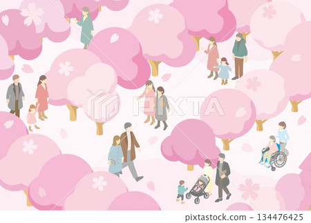 Isometric illustration of people enjoying cherry blossom viewing in a spring park. Cherry blossom trees and diverse people (families, couples, wheelchairs) 134476425