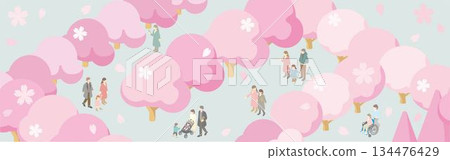 Isometric illustration of people enjoying cherry blossom viewing in a spring park. Cherry blossom trees and diverse people (families, couples, wheelchairs) 134476429