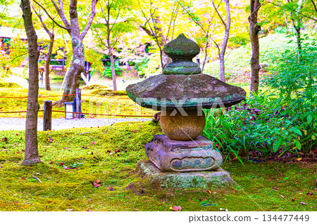Kodaiji Temple Garden, Kyoto 134477449